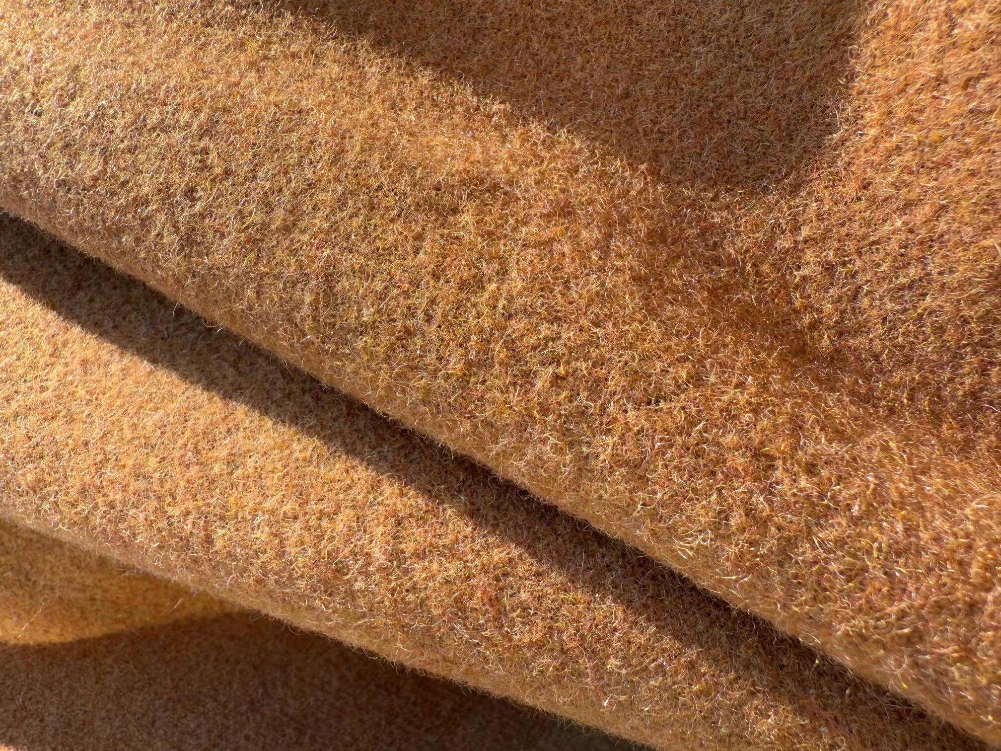 Camel blanket detail